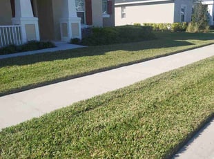 Mitch M.'s lawn care services service result