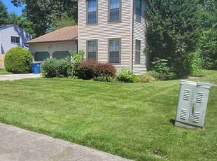 Randall A.'s turf maintenance service result