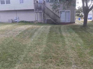 Lauren M.'s grass cutting service result