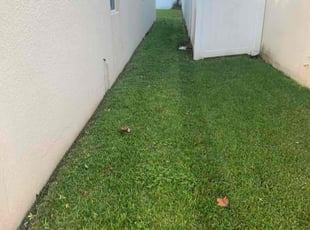 Ed R.'s lawn care service result