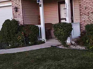 Katrina D.'s grass maintenance service result