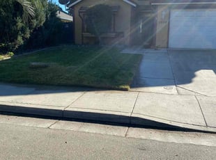 Paul V.'s lawn care service result