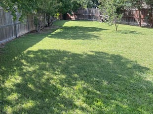 Charlotte M.'s grass maintenance service result