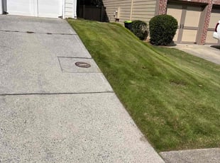 Elaine R.'s turf maintenance service result