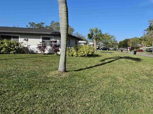 Sigridur T.'s turf care service result