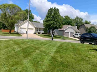 Bridgette G.'s grass cutting service result