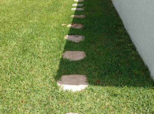Thomas C.'s turf maintenance service result