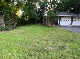 Ashley D.'s grass cutting service result