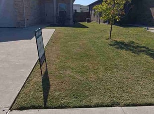Kevin K.'s grass maintenance service result