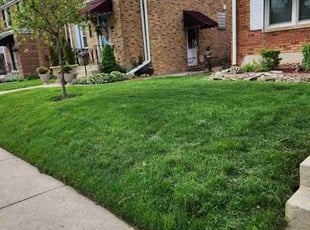 Jasmine M.'s lawn care services service result