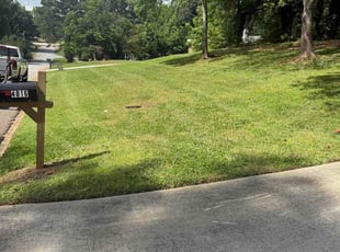 Kris L.'s lawn service service result