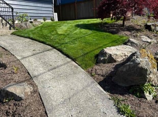 Susan K.'s lawn maintenance service result