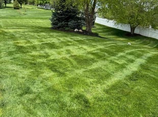 Jude O.'s turf maintenance service result
