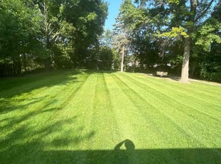 Kenneth C.'s Cleanups service result