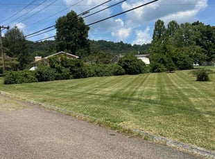 Michael R.'s grass cutting service result