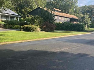 Hector C.'s grass maintenance service result