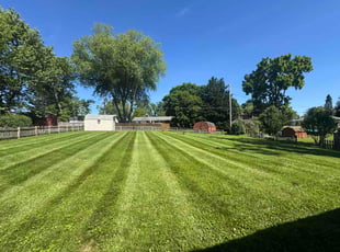 Cami R.'s turf care service result