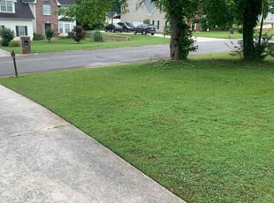 Nicole U.'s turf care service result