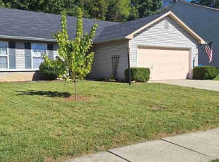 Alisha D.'s lawn maintenance service result
