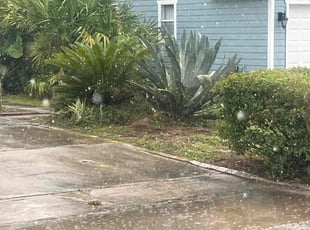 Deborah C.'s Flower Bed Weeding service result