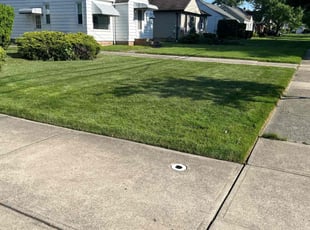 Brian H.'s lawn service service result