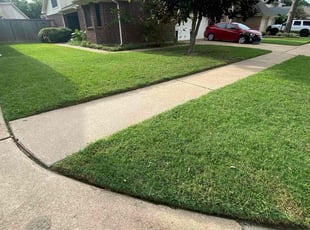 Charles B.'s yard care service result