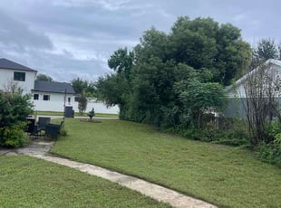 Dean K.'s turf care service result