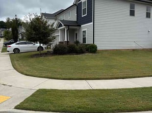 Lindsay W.'s grass maintenance service result