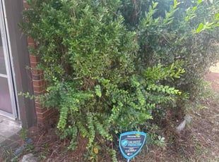 Mac X.'s Flower Bed Weeding service result