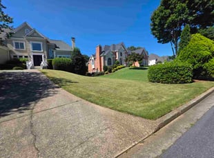 Laderric P.'s turf care service result