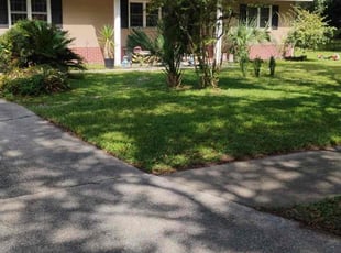 Saarin K.'s lawn maintenance service result
