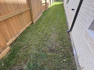 Ravi B.'s grass cutting service result