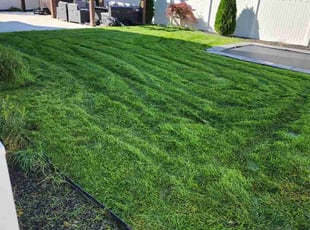 Shatoya P.'s lawn care services service result