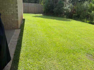 Susan W.'s lawn care service result