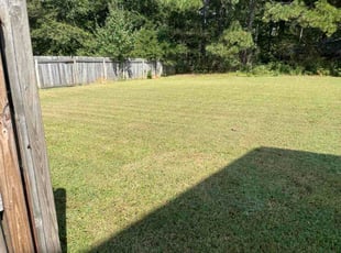 Debra E.'s turf care service result
