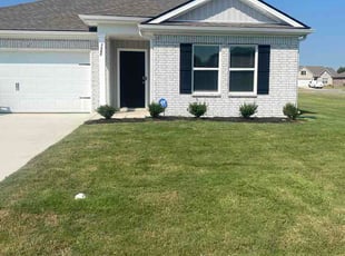 Cindi K.'s turf maintenance service result