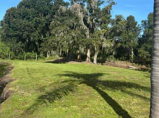 Deanna F.'s lawn service service result