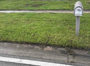 Shakerul H.'s lawn maintenance service result