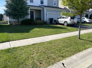 Kimberley P.'s turf care service result