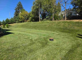 Richard S.'s turf maintenance service result
