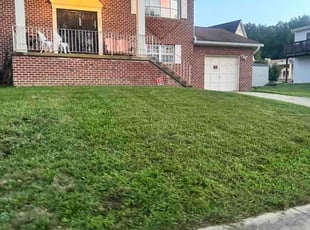 Ashley W.'s grass maintenance service result