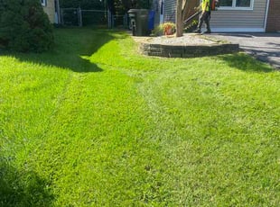 Chris M.'s turf care service result