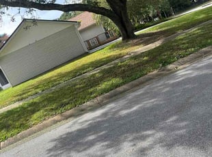 Phyllis A.'s grass cutting service result