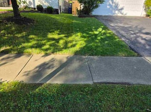 Benjamin Z.'s lawn care service result