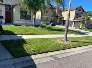 Courtney R.'s grass cutting service result