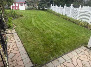 Megan L.'s grass cutting service result