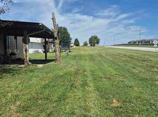 Taylor S.'s lawn care service result