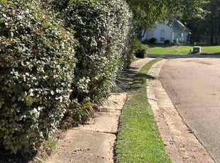 Joshua R.'s grass maintenance service result