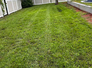 Karen V.'s lawn service service result