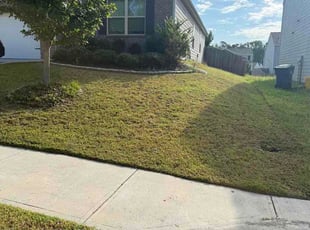 Elizabeth S.'s lawn service service result